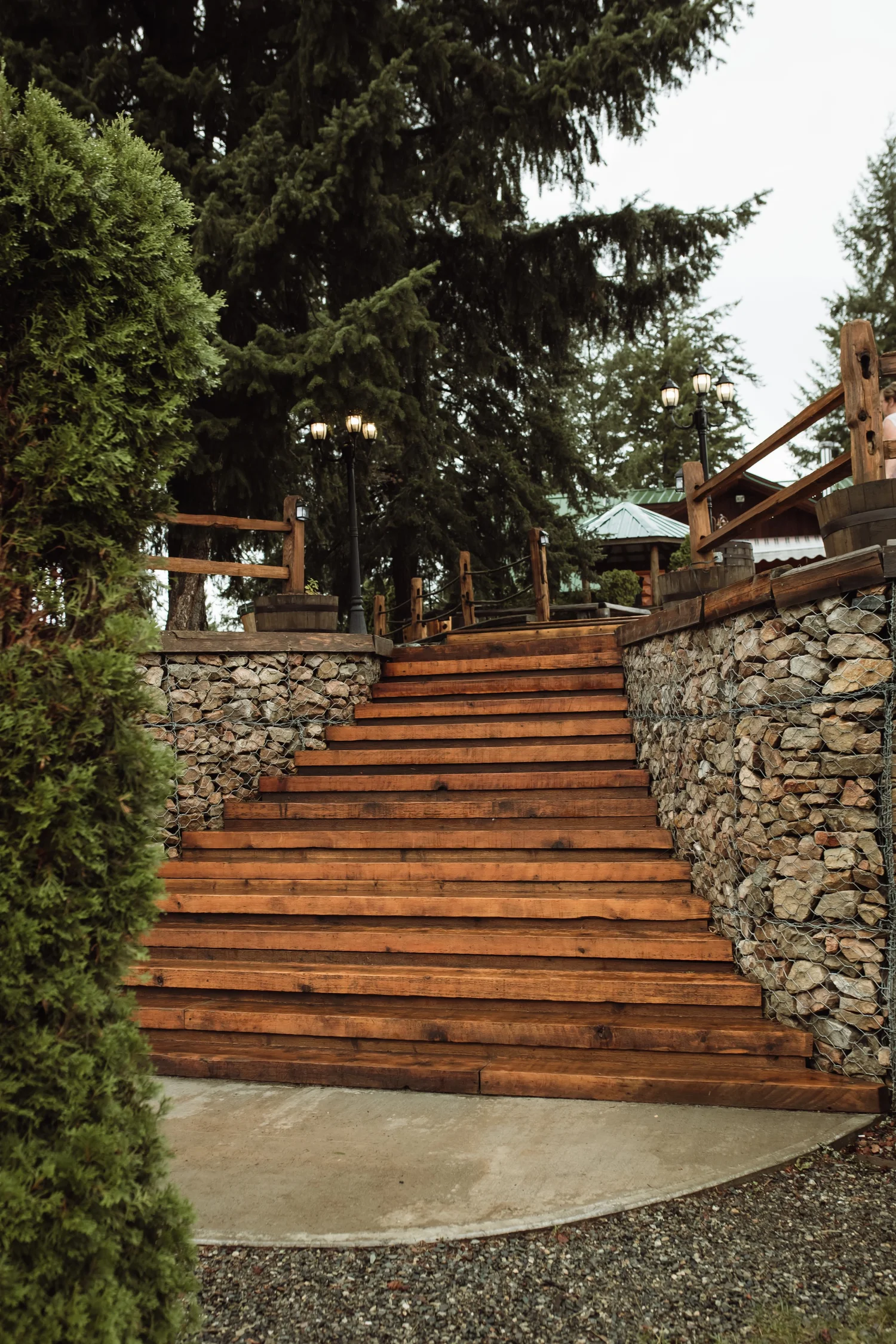 Stone path through the trees