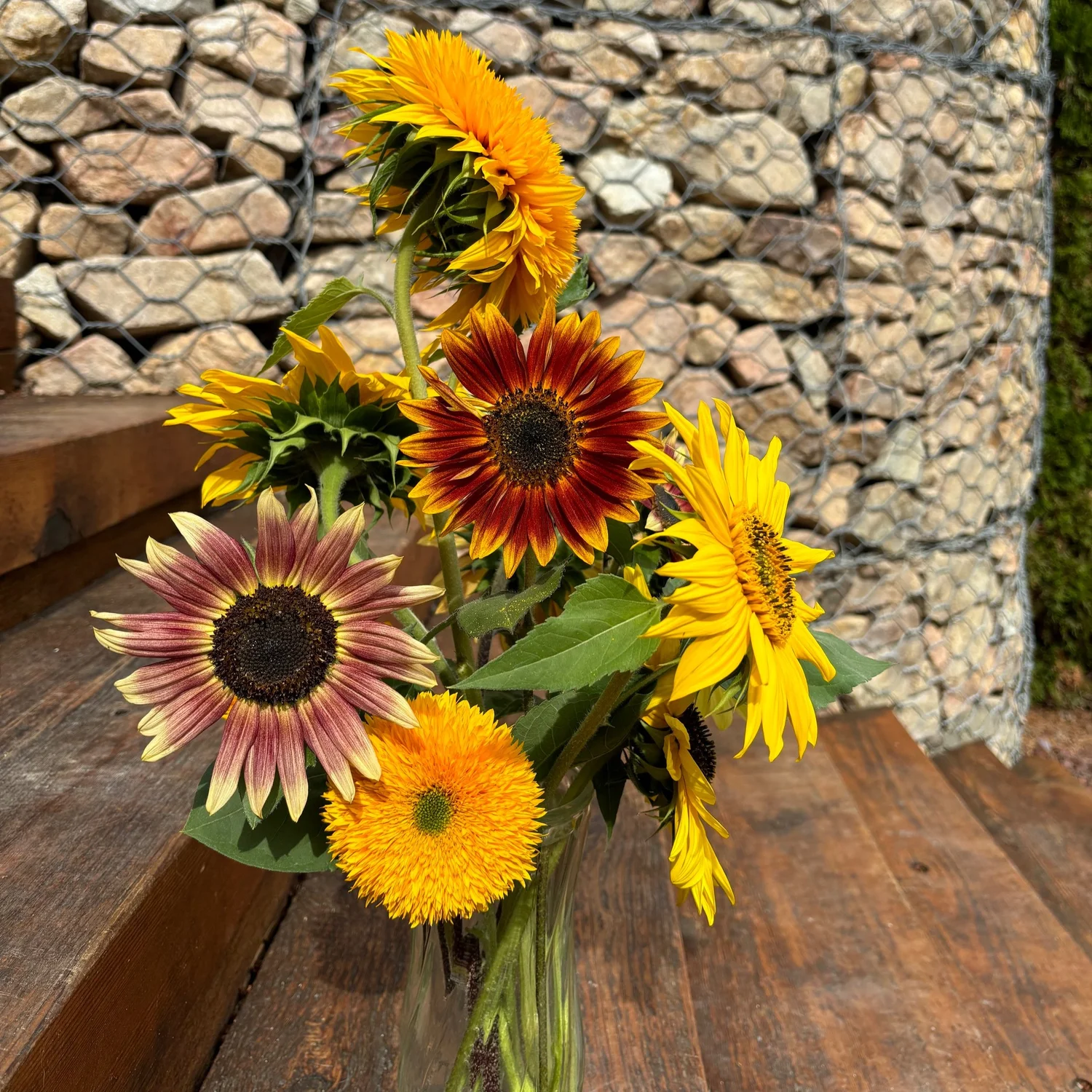 Sunflower arrangement